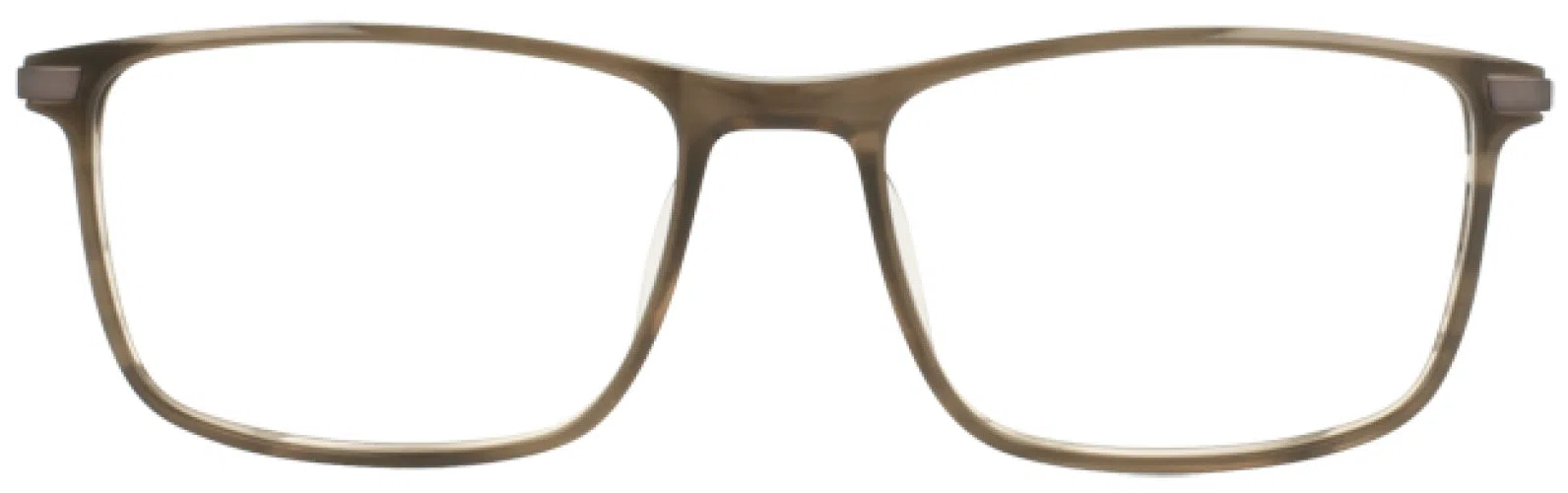 Argyleculture ARFORREST Eyeglasses - view 6